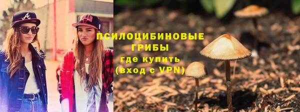 бошки Михайловск