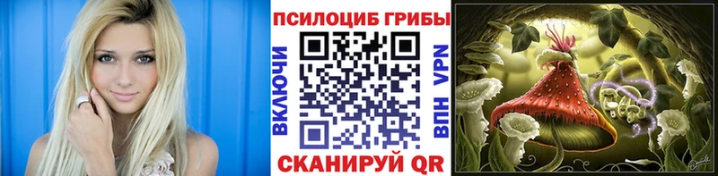 Псилоцибиновые грибы Cubensis Бийск