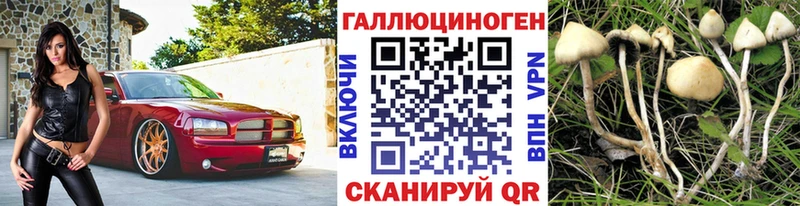 купить закладку  Бийск  Псилоцибиновые грибы прущие грибы 