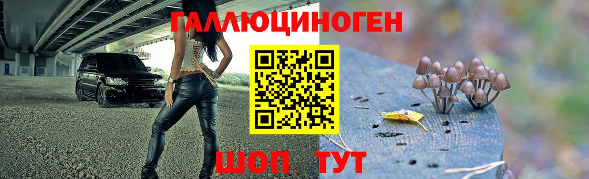 Бийск  Галлюциногенные грибы GOLDEN TEACHER  Вход с VPN 