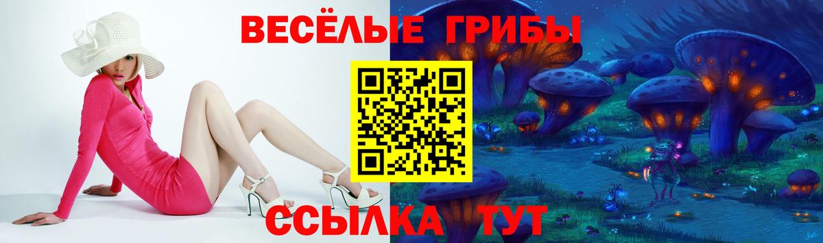 Псилоцибиновые грибы MAGIC MUSHROOMS Бийск